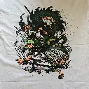 Zoro